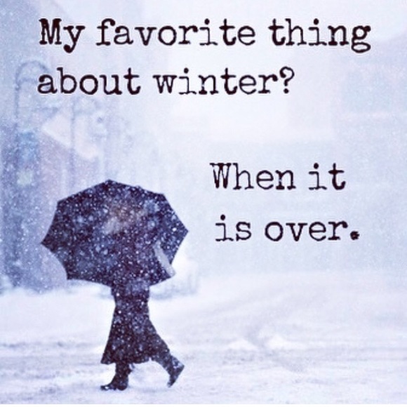 Meet your Posher, Lil - Picture 1 of 1